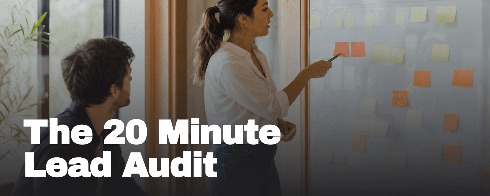The 20 Minute Lead Audit